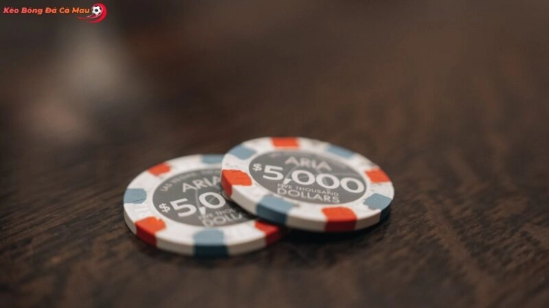 Nhà Cái Quốc Tế Đáng Tin Cậy: Tiêu Chuẩn Và Uy Tín