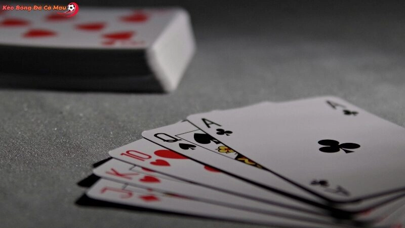 Sự Ổn Định Và Liên Tục Của Hoạt Động